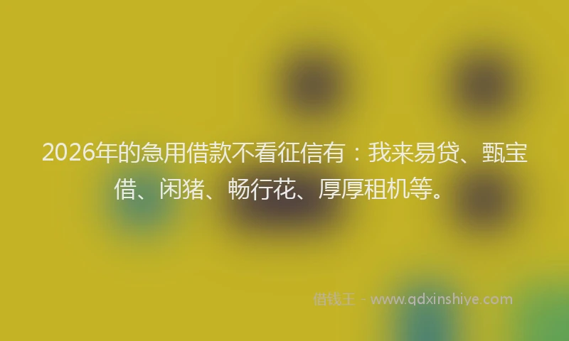 2026年的急用借款不看征信有:我来易贷、甄宝借、闲猪、畅行花、厚厚租机等。
