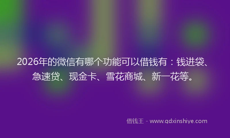 2026年的微信有哪个功能可以借钱有：钱进袋、急速贷、现金卡、雪花商城、新一花等。