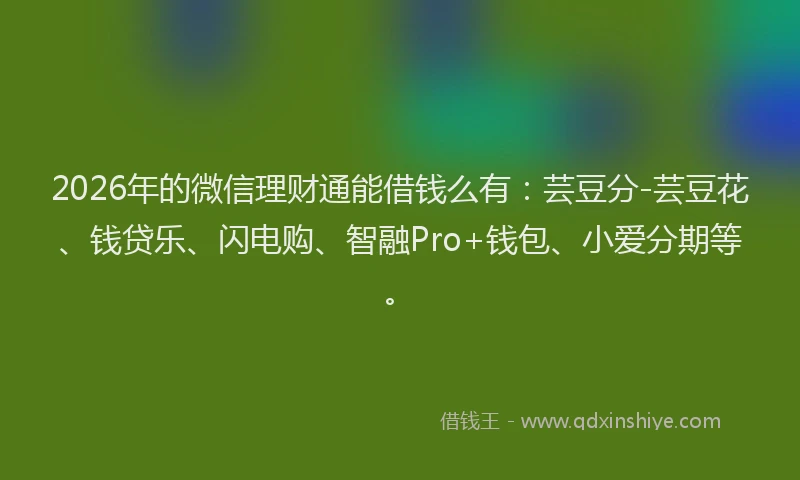 2026年的微信理财通能借钱么有：芸豆分-芸豆花、钱贷乐、闪电购、智融Pro+钱包、小爱分期等。