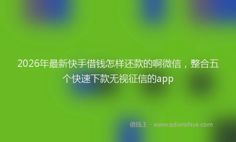 2026年最新快手借钱怎样还款的啊微信，整合五个快速下款无视征信的app