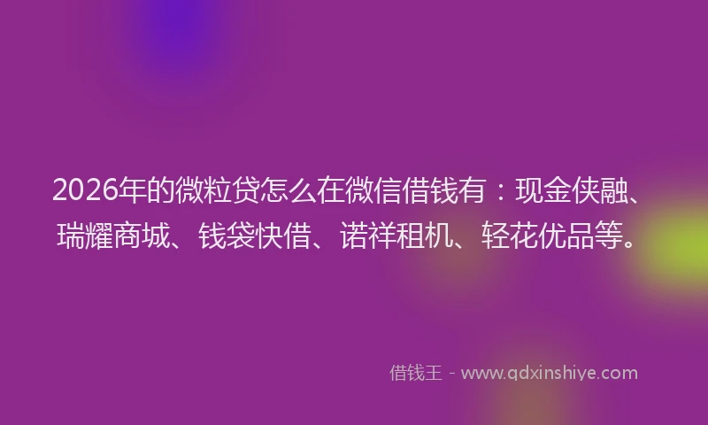 2026年的微粒贷怎么在微信借钱有：现金侠融、瑞耀商城、钱袋快借、诺祥租机、轻花优品等。