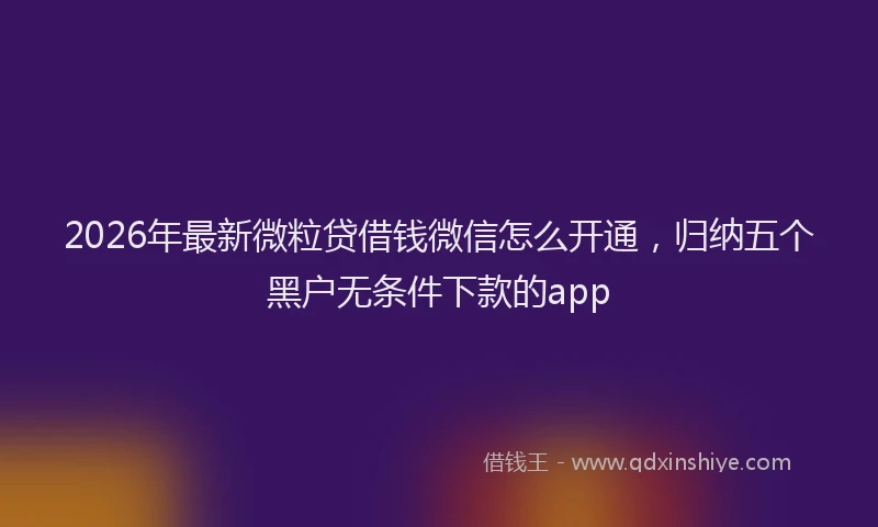 2026年最新微粒贷借钱微信怎么开通，归纳五个黑户无条件下款的app
