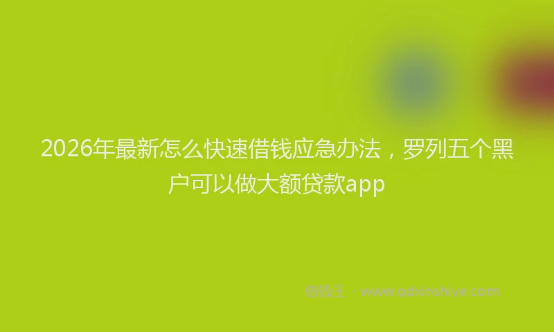 2026年最新怎么快速借钱应急办法，罗列五个黑户可以做大额贷款app