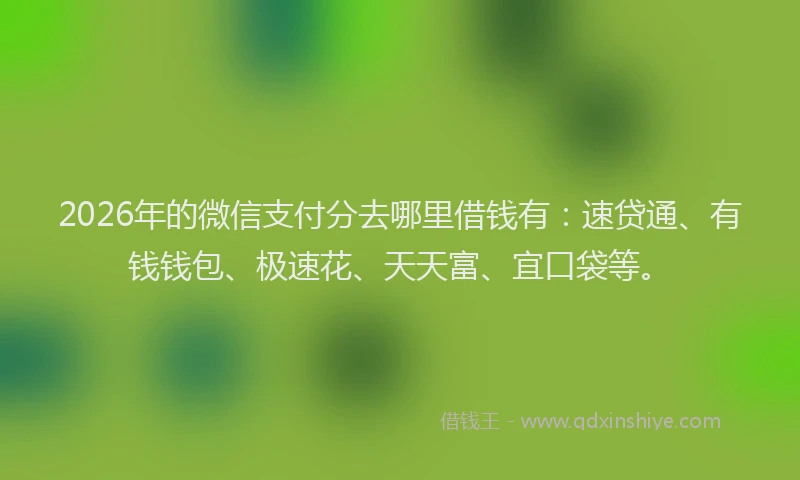 2026年的微信支付分去哪里借钱有：速贷通、有钱钱包、极速花、天天富、宜口袋等。