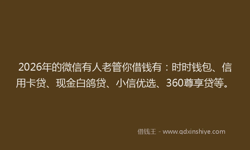 2026年的微信有人老管你借钱有：时时钱包、信用卡贷、现金白鸽贷、小信优选、360尊享贷等。