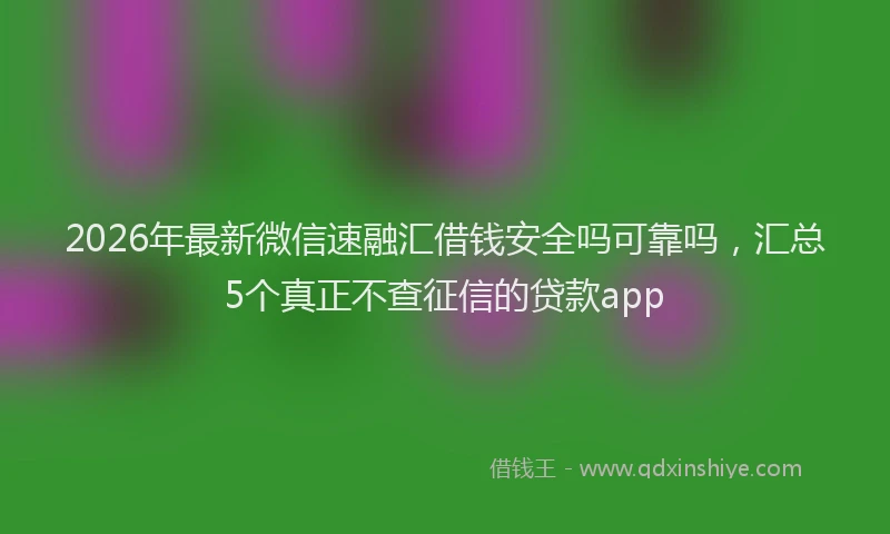 2026年最新微信速融汇借钱安全吗可靠吗，汇总5个真正不查征信的贷款app