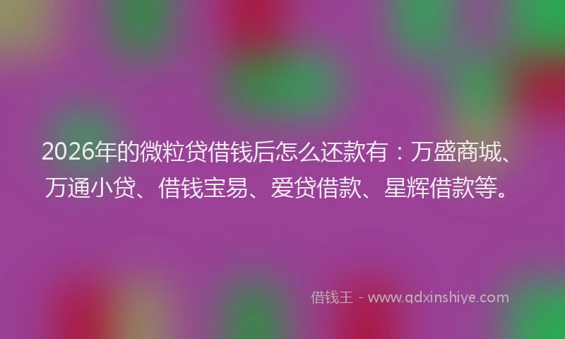 2026年的微粒贷借钱后怎么还款有：万盛商城、万通小贷、借钱宝易、爱贷借款、星辉借款等。