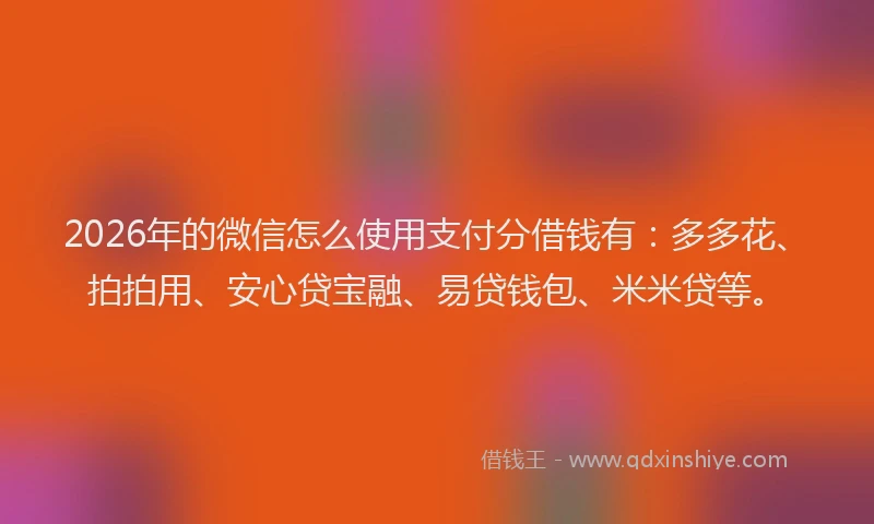 2026年的微信怎么使用支付分借钱有：多多花、拍拍用、安心贷宝融、易贷钱包、米米贷等。