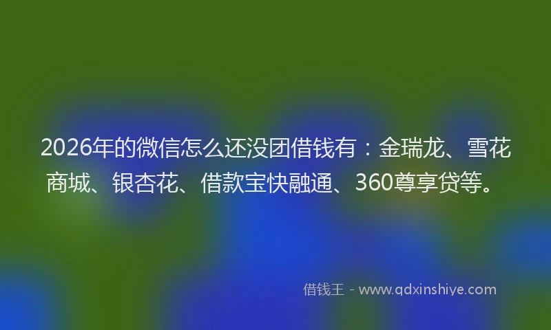 2026年的微信怎么还没团借钱有：金瑞龙、雪花商城、银杏花、借款宝快融通、360尊享贷等。