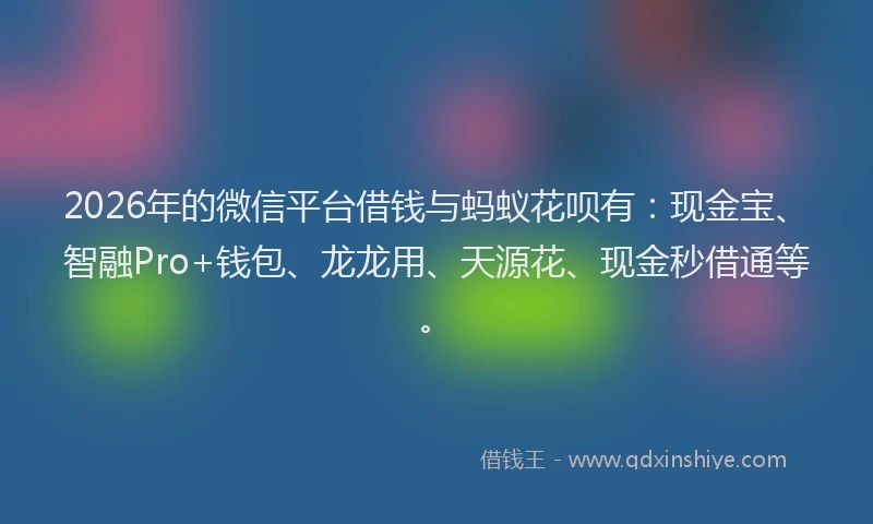 2026年的微信平台借钱与蚂蚁花呗有：现金宝、智融Pro+钱包、龙龙用、天源花、现金秒借通等。