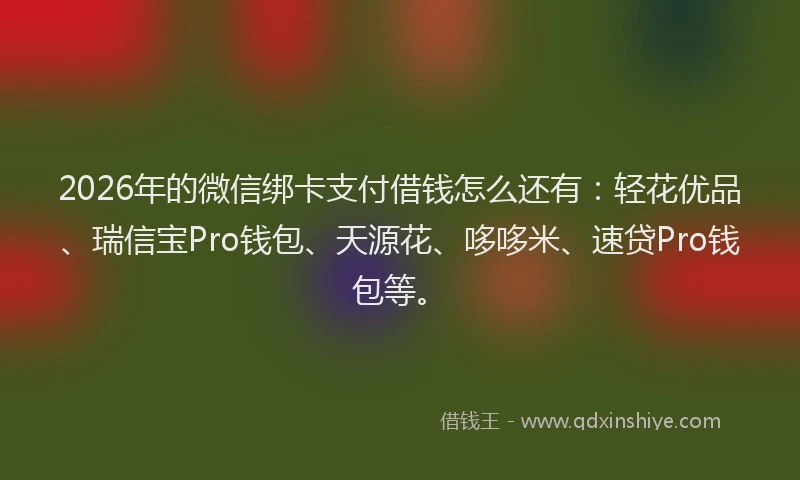 2026年的微信绑卡支付借钱怎么还有：轻花优品、瑞信宝Pro钱包、天源花、哆哆米、速贷Pro钱包等。