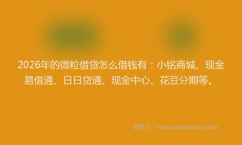2026年的微粒借贷怎么借钱有：小铭商城、现金易借通、日日贷通、现金中心、花豆分期等。