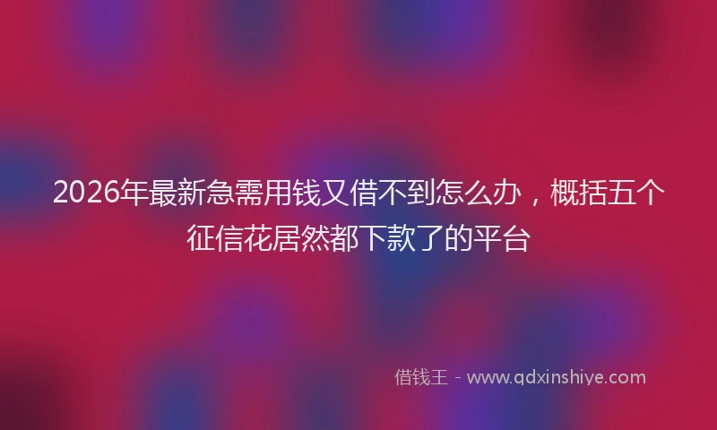 2026年最新急需用钱又借不到怎么办，概括五个征信花居然都下款了的平台