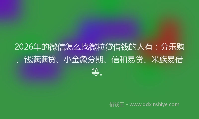 2026年的微信怎么找微粒贷借钱的人有：分乐购、钱满满贷、小金象分期、信和易贷、米族易借等。