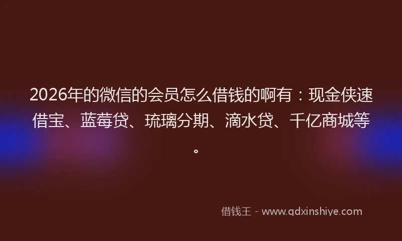 2026年的微信的会员怎么借钱的啊有：现金侠速借宝、蓝莓贷、琉璃分期、滴水贷、千亿商城等。