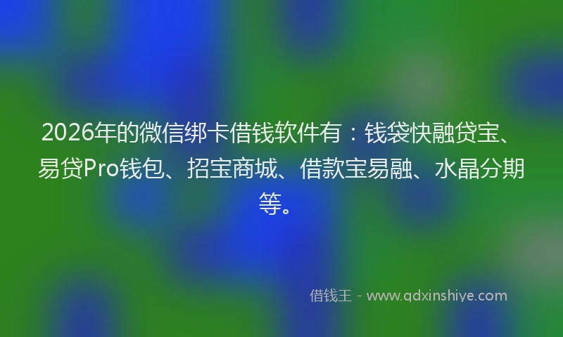2026年的微信绑卡借钱软件有：钱袋快融贷宝、易贷Pro钱包、招宝商城、借款宝易融、水晶分期等。