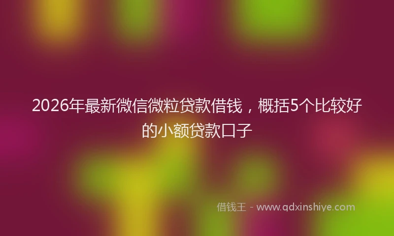 2026年最新微信微粒贷款借钱，概括5个比较好的小额贷款口子