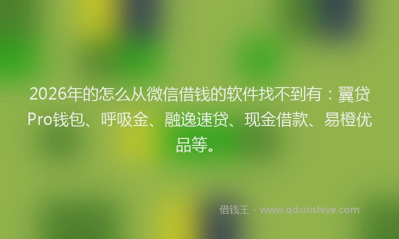 2026年的怎么从微信借钱的软件找不到有：翼贷Pro钱包、呼吸金、融逸速贷、现金借款、易橙优品等。