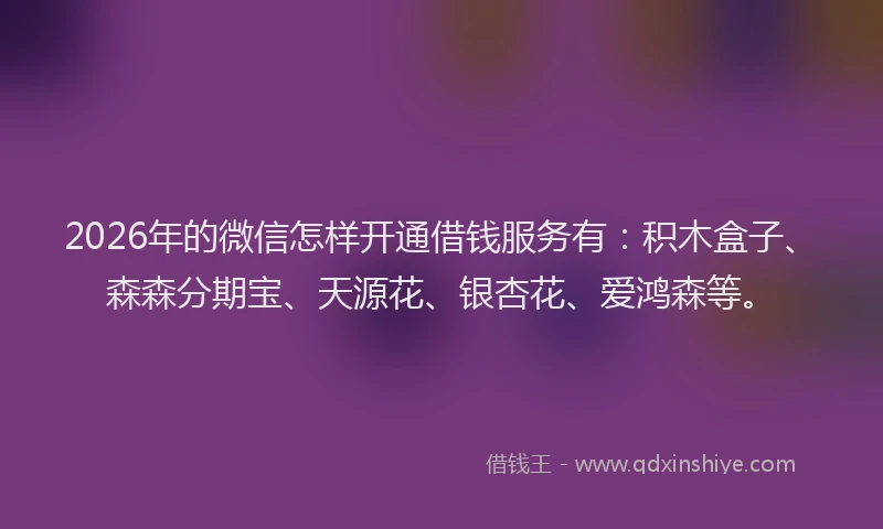 2026年的微信怎样开通借钱服务有：积木盒子、森森分期宝、天源花、银杏花、爱鸿森等。