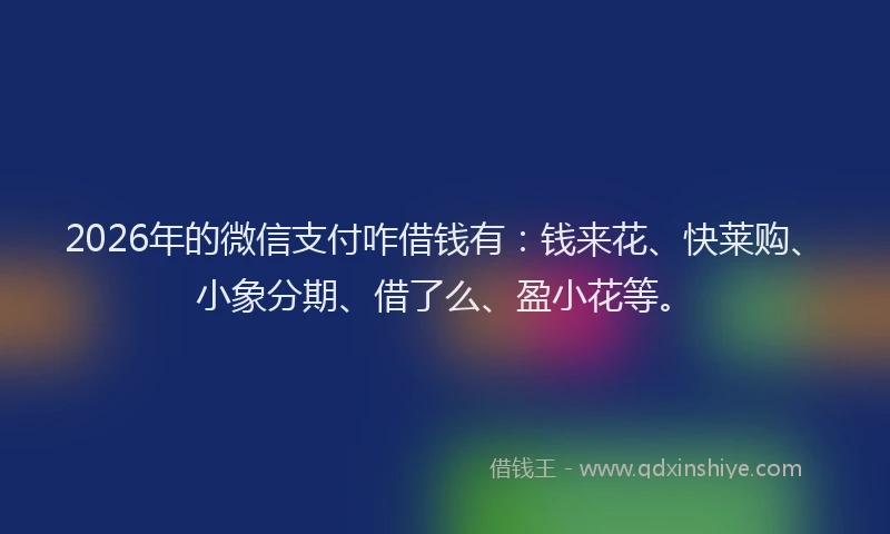 2026年的微信支付咋借钱有：钱来花、快莱购、小象分期、借了么、盈小花等。