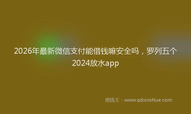 2026年最新微信支付能借钱嘛安全吗，罗列五个2024放水app