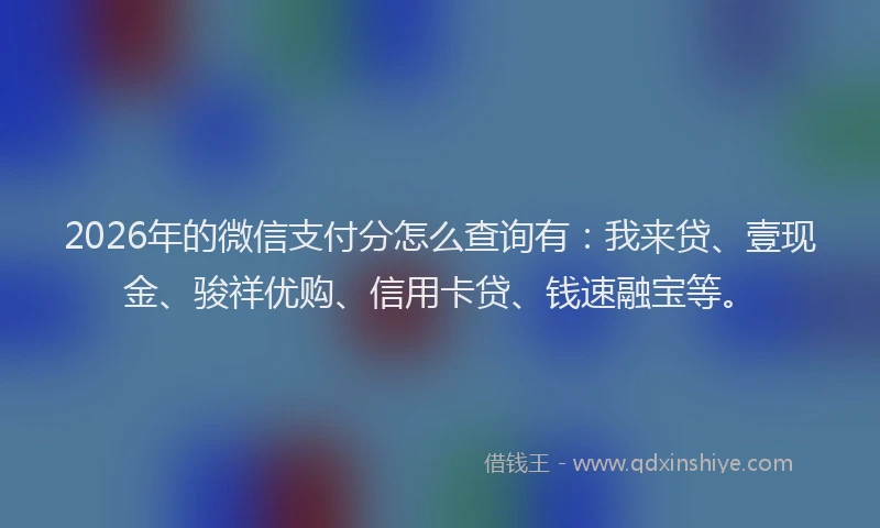 2026年的微信支付分怎么查询有：我来贷、壹现金、骏祥优购、信用卡贷、钱速融宝等。