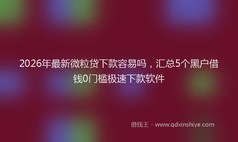 2026年最新微粒贷下款容易吗，汇总5个黑户借钱0门槛极速下款软件
