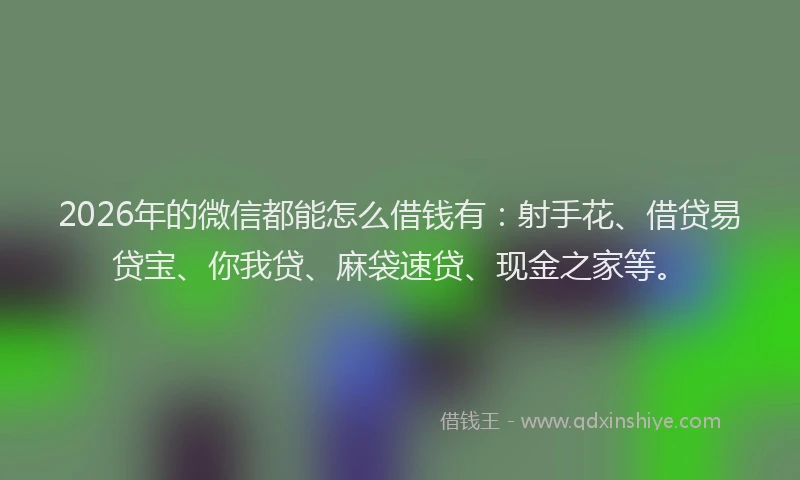 2026年的微信都能怎么借钱有:射手花、借贷易贷宝、你我贷、麻袋速贷、现金之家等。