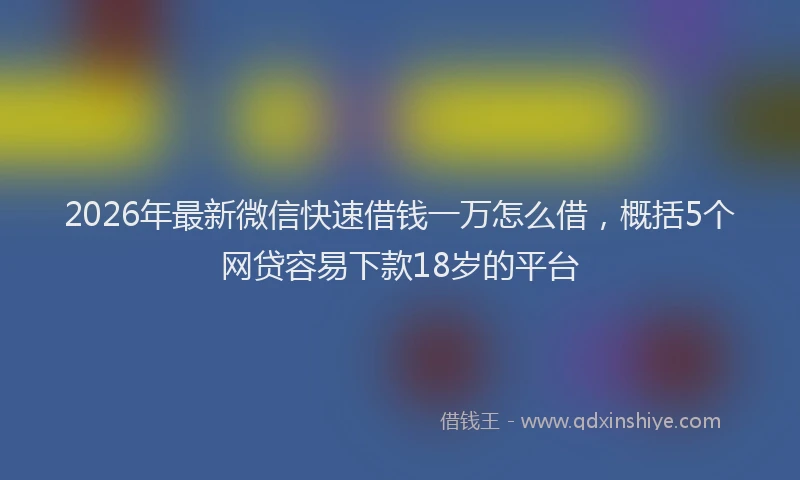 2026年最新微信快速借钱一万怎么借，概括5个网贷容易下款18岁的平台