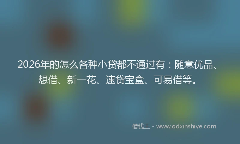 2026年的怎么各种小贷都不通过有：随意优品、想借、新一花、速贷宝盒、可易借等。