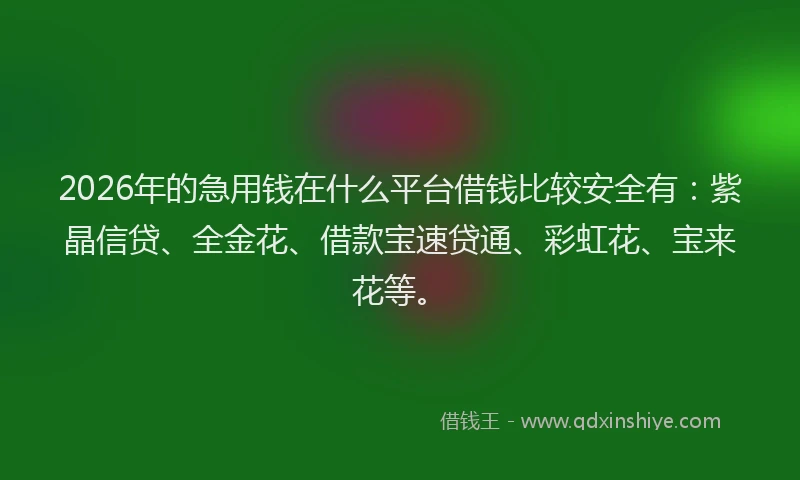 2026年的急用钱在什么平台借钱比较安全有:紫晶信贷、全金花、借款宝速贷通、彩虹花、宝来花等。