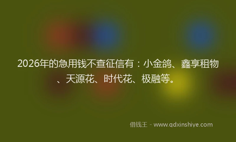 2026年的急用钱不查征信有:小金鸽、鑫享租物、天源花、时代花、极融等。