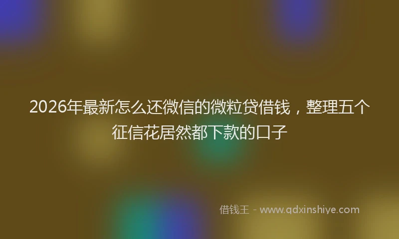 2026年最新怎么还微信的微粒贷借钱，整理五个征信花居然都下款的口子