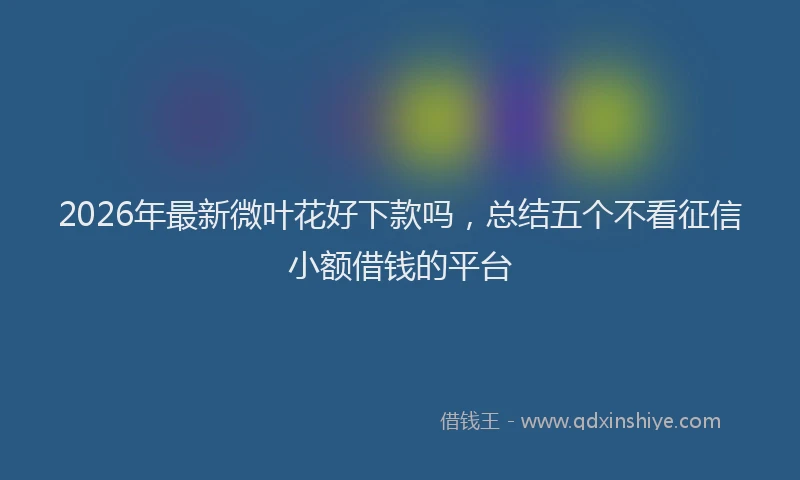 2026年最新微叶花好下款吗，总结五个不看征信小额借钱的平台