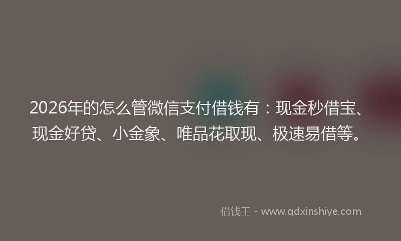 2026年的怎么管微信支付借钱有：现金秒借宝、现金好贷、小金象、唯品花取现、极速易借等。