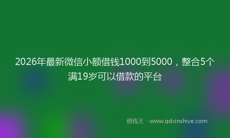 2026年最新微信小额借钱1000到5000，整合5个满19岁可以借款的平台