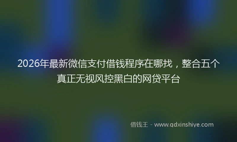 2026年最新微信支付借钱程序在哪找，整合五个真正无视风控黑白的网贷平台