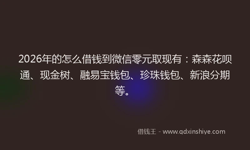2026年的怎么借钱到微信零元取现有：森森花呗通、现金树、融易宝钱包、珍珠钱包、新浪分期等。