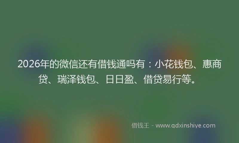2026年的微信还有借钱通吗有：小花钱包、惠商贷、瑞泽钱包、日日盈、借贷易行等。