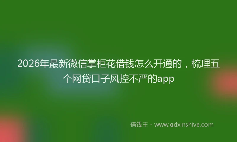 2026年最新微信掌柜花借钱怎么开通的，梳理五个网贷口子风控不严的app