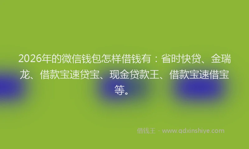 2026年的微信钱包怎样借钱有：省时快贷、金瑞龙、借款宝速贷宝、现金贷款王、借款宝速借宝等。
