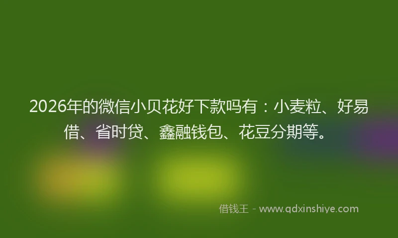 2026年的微信小贝花好下款吗有：小麦粒、好易借、省时贷、鑫融钱包、花豆分期等。