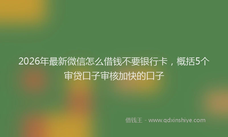2026年最新微信怎么借钱不要银行卡，概括5个审贷口子审核加快的口子