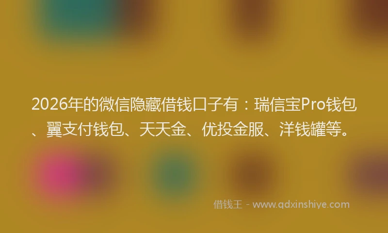 2026年的微信隐藏借钱口子有：瑞信宝Pro钱包、翼支付钱包、天天金、优投金服、洋钱罐等。