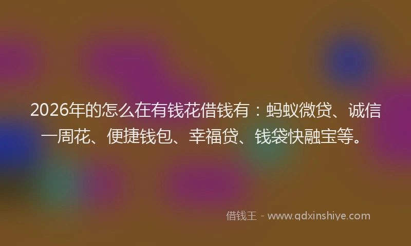 2026年的怎么在有钱花借钱有:蚂蚁微贷、诚信一周花、便捷钱包、幸福贷、钱袋快融宝等。