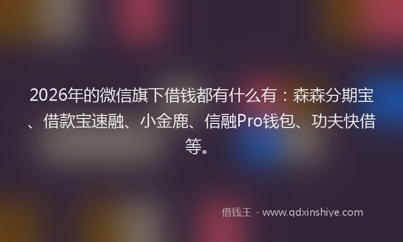 2026年的微信旗下借钱都有什么有：森森分期宝、借款宝速融、小金鹿、信融Pro钱包、功夫快借等。