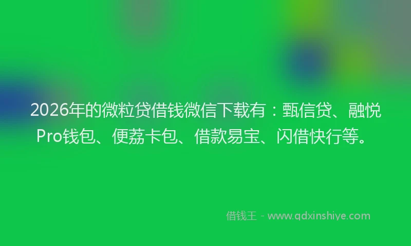 2026年的微粒贷借钱微信下载有：甄信贷、融悦Pro钱包、便荔卡包、借款易宝、闪借快行等。