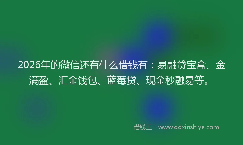 2026年的微信还有什么借钱有：易融贷宝盒、金满盈、汇金钱包、蓝莓贷、现金秒融易等。