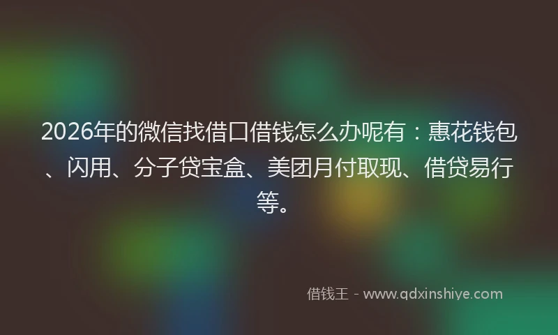2026年的微信找借口借钱怎么办呢有：惠花钱包、闪用、分子贷宝盒、美团月付取现、借贷易行等。