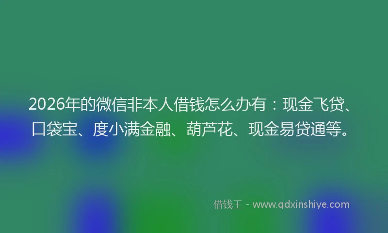 2026年的微信非本人借钱怎么办有：现金飞贷、口袋宝、度小满金融、葫芦花、现金易贷通等。